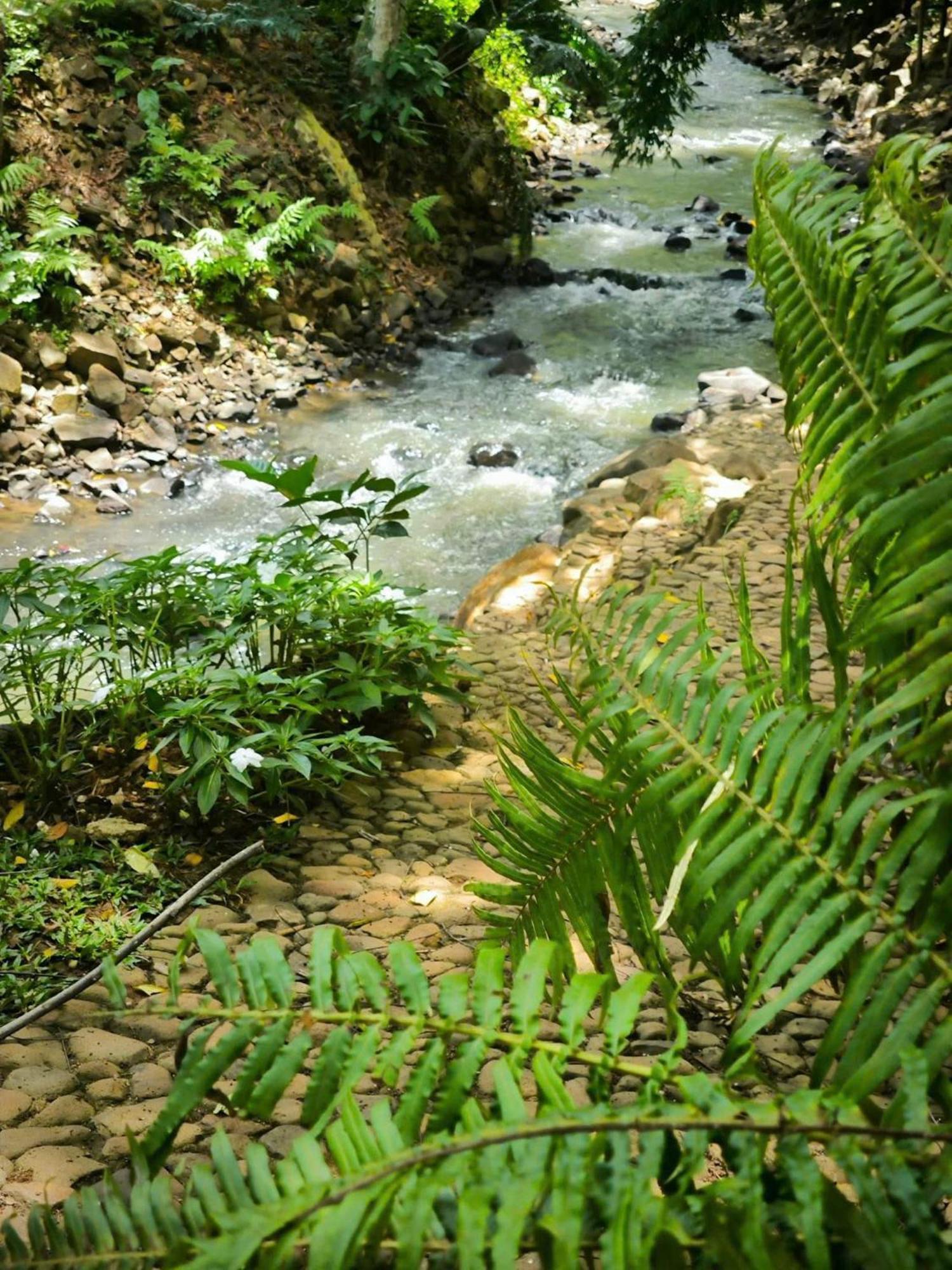 Zenda Glamping